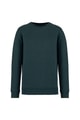 Heren Sweater Ecologische Ecologische NS400 AMAZON GREEN HEATHER